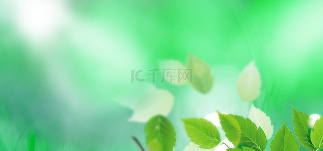 小清新暖背景图片_春季树叶绿色清新背景