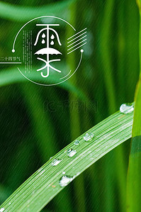 节气雨水背景图片_中国传统节气雨水背景素材