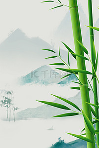 气节背景背景图片_简约清新处暑24节气竹子背景海报