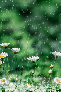 下雨小清新背景背景图片_小清新二十四节气谷雨高清背景