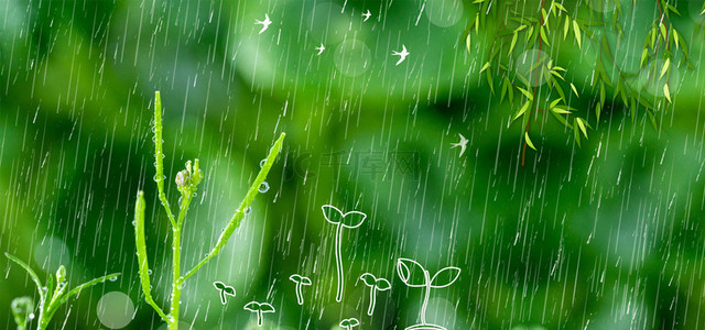 传统节气雨水背景图片_24节气雨水节气谷雨