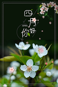 春雨花开背景图片_你好4月春天花开