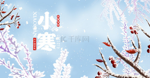 小寒雪景背景图片_简约小寒24节气清新冬季背景