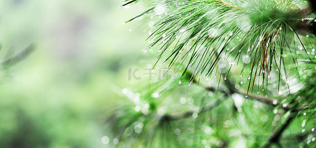 下雨图片背景图片_传统二十四节气雨水背景图片