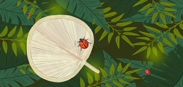 大暑节气蒲扇背景