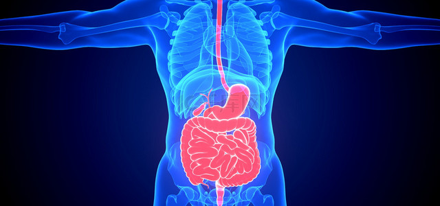 急性肠胃背景图片_c4d人体医疗肠胃疾病