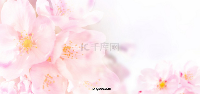 粉色系创意花朵背景