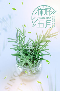 清新文艺5月你好背景海报