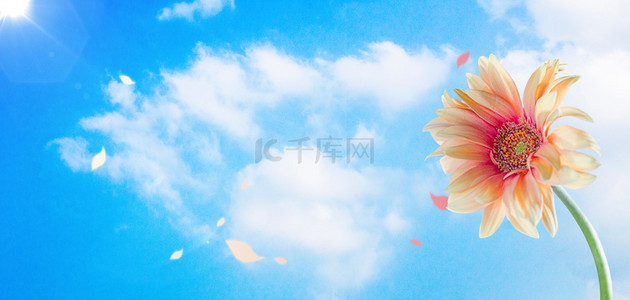 文艺背景花背景图片 文艺背景花背景素材图片 千库网