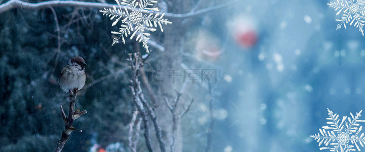 雪景清新背景图片_创意清新简约你好十一月背景