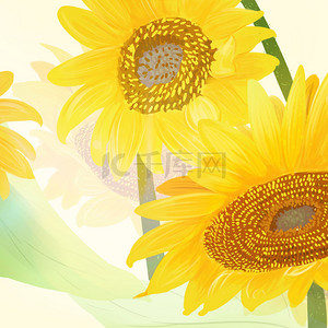 黄色小菊花背景背景图片_黄色菊花向日葵简约背景