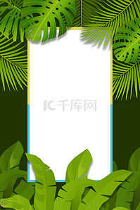 夏天绿植边框背景图片_绿色植物夏日促销边框背景