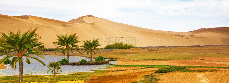 大漠风沙背景图片_沙漠绿洲植物合成背景