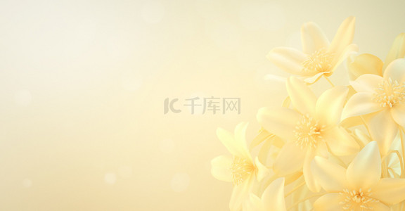 情人节通用背景图片_C4D高档化妆品通用花朵背景