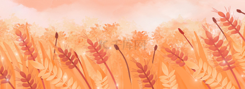 自然节气背景图片_芒种节气麦穗麦子金黄色背景图