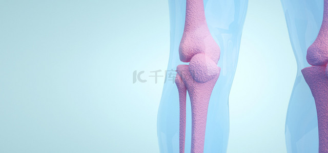 人体肝胆背景图片_人体膝盖骨骼图片