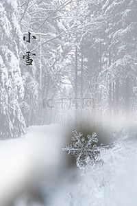 清新简约白色冬天雪花背景