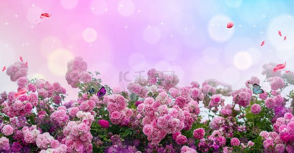 浪漫唯美鲜花背景图片_浪漫粉色花海背景