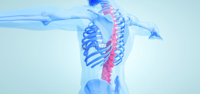 人体结构动态图背景图片_人体腰椎骨骼图片