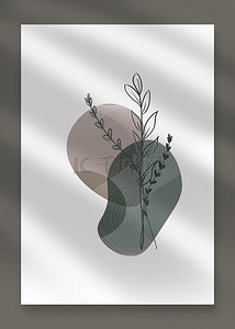 色块线条抽象背景图片_莫兰迪灰色抽象几何植物line draw背景