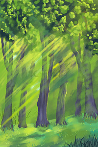 森林树木植物背景图