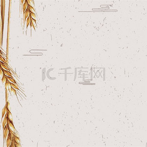 稻穗芒种24节气复古中国风背景