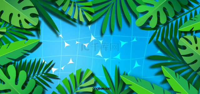 热带叶子装饰创意泳池背景