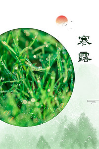 传统节气寒露背景图片_中国传统24节气寒露海报