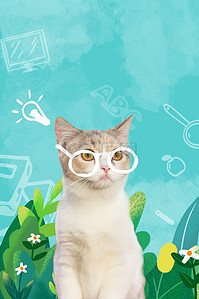 商店卡通背景图片_动物宠物猫绿色卡通背景