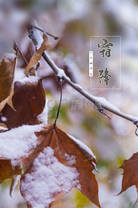 立冬模板背景图片_原创霜降二十四节气海报模板