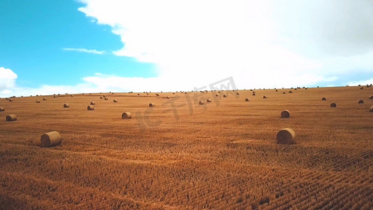 秋冬农场稻草卷高清航拍实拍