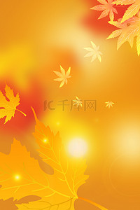 秋天枫叶背景海报背景图片_简约秋季新品枫叶背景海报