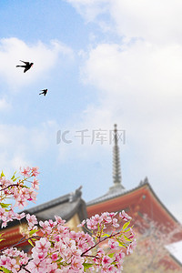 24立春节气背景背景图片_小清新合成立春节气背景