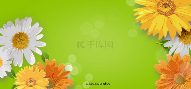 春黄色背景图片_春天花花卉植物绿色背景