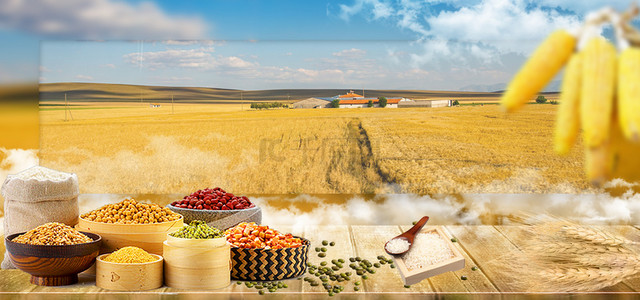 世界粮食日背景图片_世界粮食日麦田背景