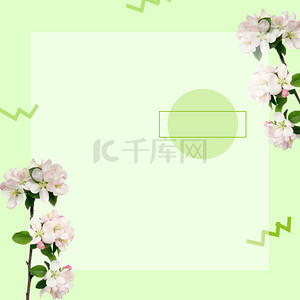 花枝背景图片_植物花枝边框绿色清新背景