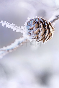 霜降二十四节气背景图片_简约霜降二十四节气高清背景