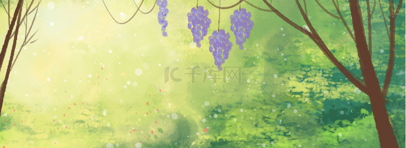 葡萄清新背景背景图片_绿色树叶树木植物背景图