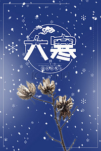 简约大寒节气雪花背景