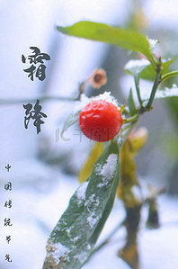 雪天摔跤背景图片_原创霜降二十四节气海报模板