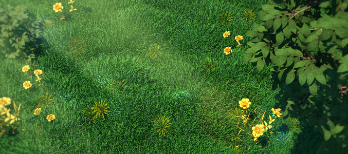 俯视图台面背景图片_C4D绿色俯视春天草地背景