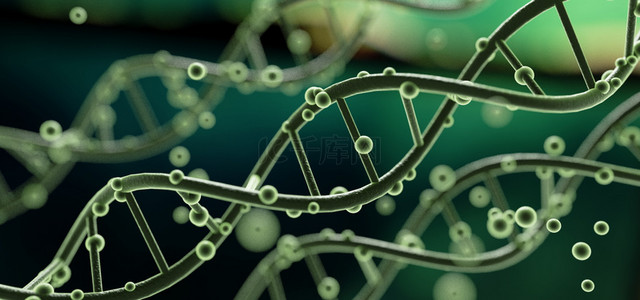 科学DNA绿