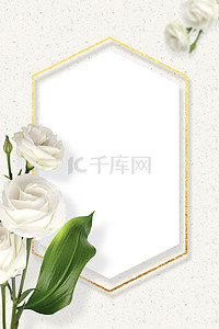 促销标签背景图片_春季促销白玫瑰菱形框标签