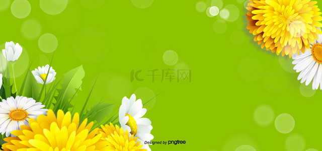 主角光环背景图片_春天的花朵花卉植物绿色光环背景