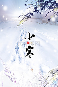 节气小寒海报背景图片_简约雪景小寒传统24节气背景海报