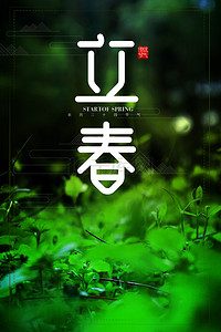 简约立春清新二十四节气植物背景海报