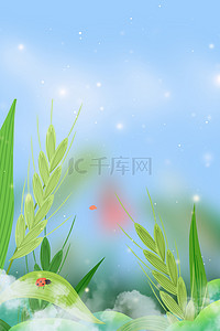 传统麦穗背景图片_小满麦穗蓝色清新