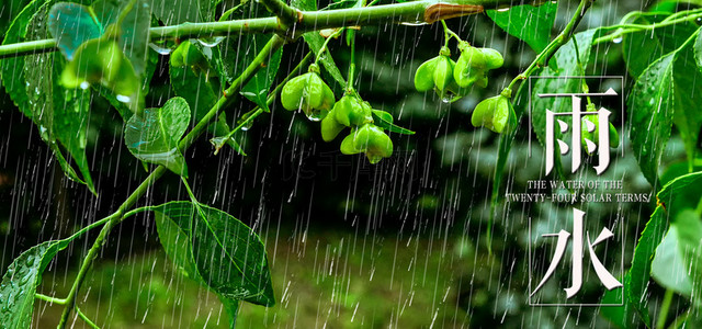 雨景背景图片_雨水节气春季雨水
