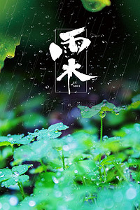 传统二十四节气雨水背景素材