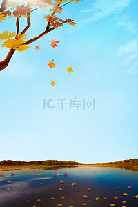 简约草背景图片_立秋节气掉落在水里的枫叶